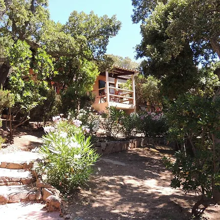 Du Maquis Porto-Vecchio (Corsica)