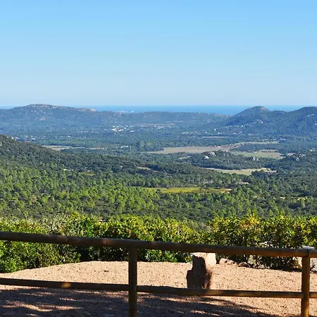 Du Maquis Porto-Vecchio (Corsica)