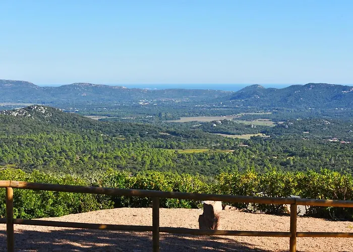 Du Maquis Porto-Vecchio (Corsica)