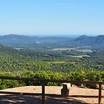 Du Maquis Porto-Vecchio (Corsica)