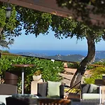 Du Maquis Porto-Vecchio (Corsica)
