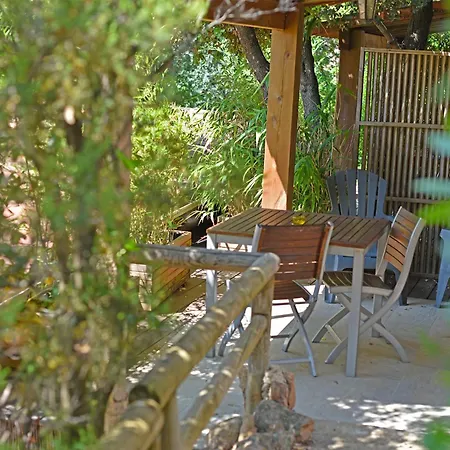 Du Maquis Porto-Vecchio (Corsica)