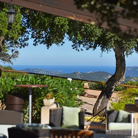 Du Maquis Porto-Vecchio (Corsica)